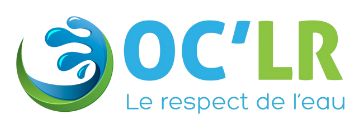 Logo officiel DFM / LGeau